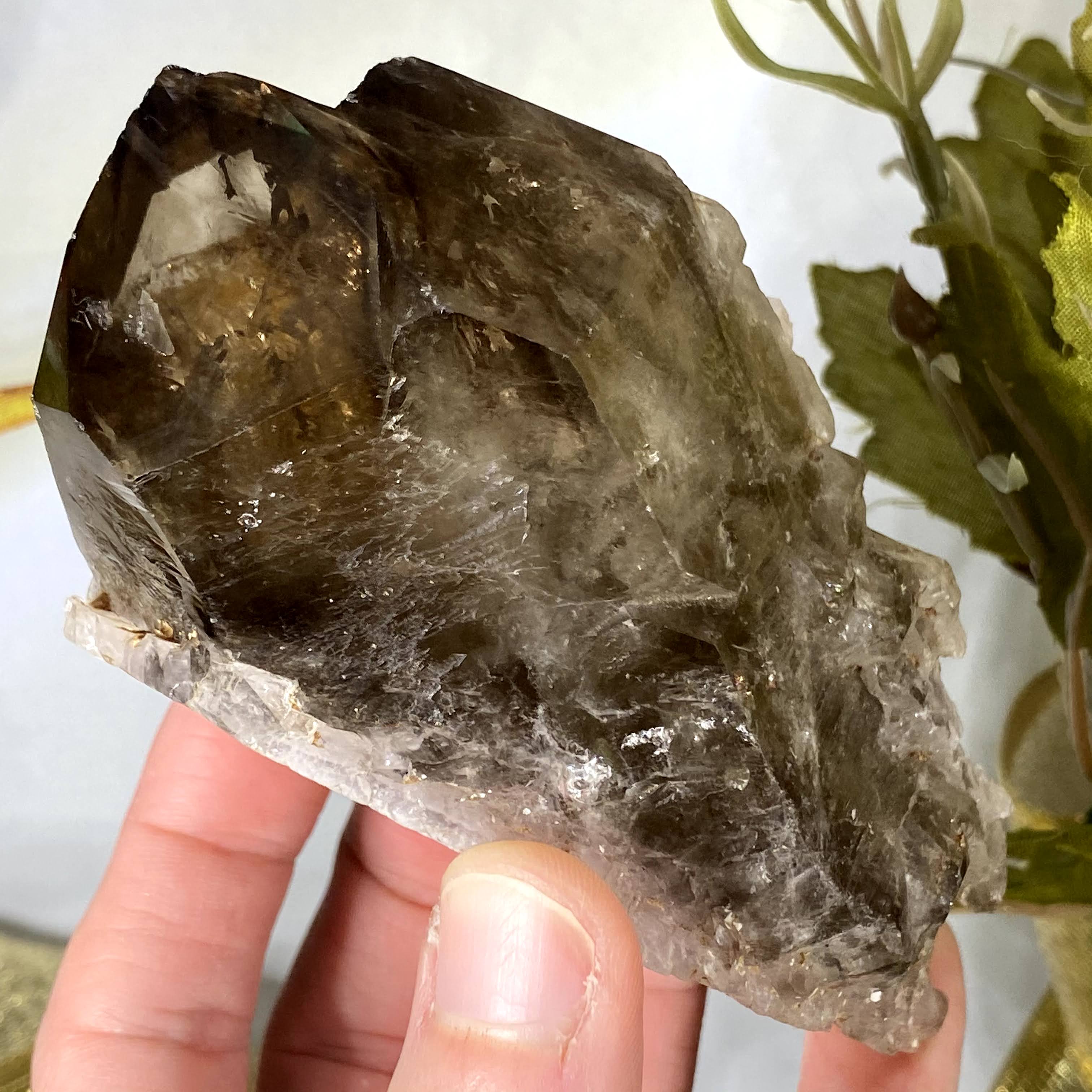 Smoky Quartz Elestial - GORGEOUS Natural Excellent Quality Smoky Quartz Elestial (Record Keeper, Etched, Phantoms, and Rainbows too!) #451