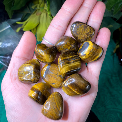 Tiger Eye - Super Cool Tiger Eye Tumbled Stone (Small-B7)