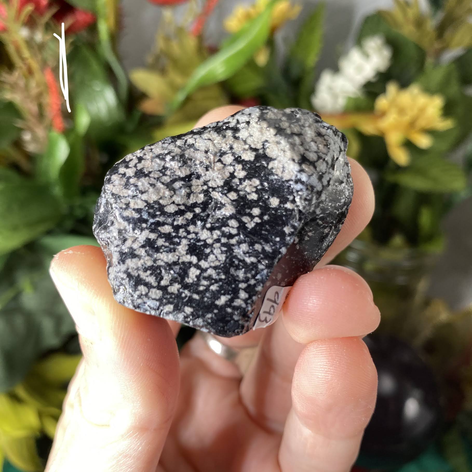 Obsidian - Snowflake Obsidian Rough (price per piece)