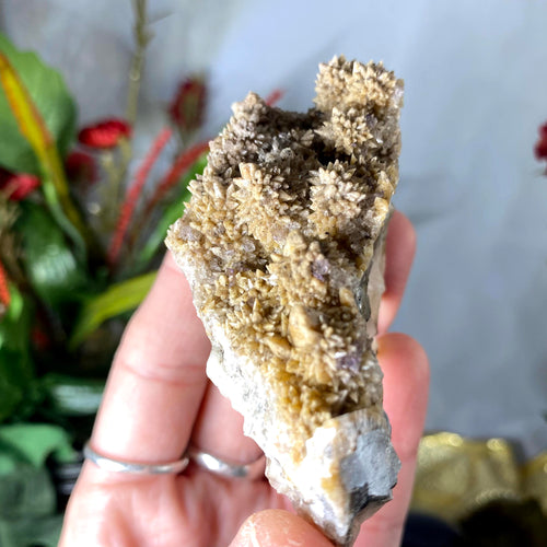 Calcite - Super Sweet Dogtooth Calcite with Fluorite Mineral Specimen! B467