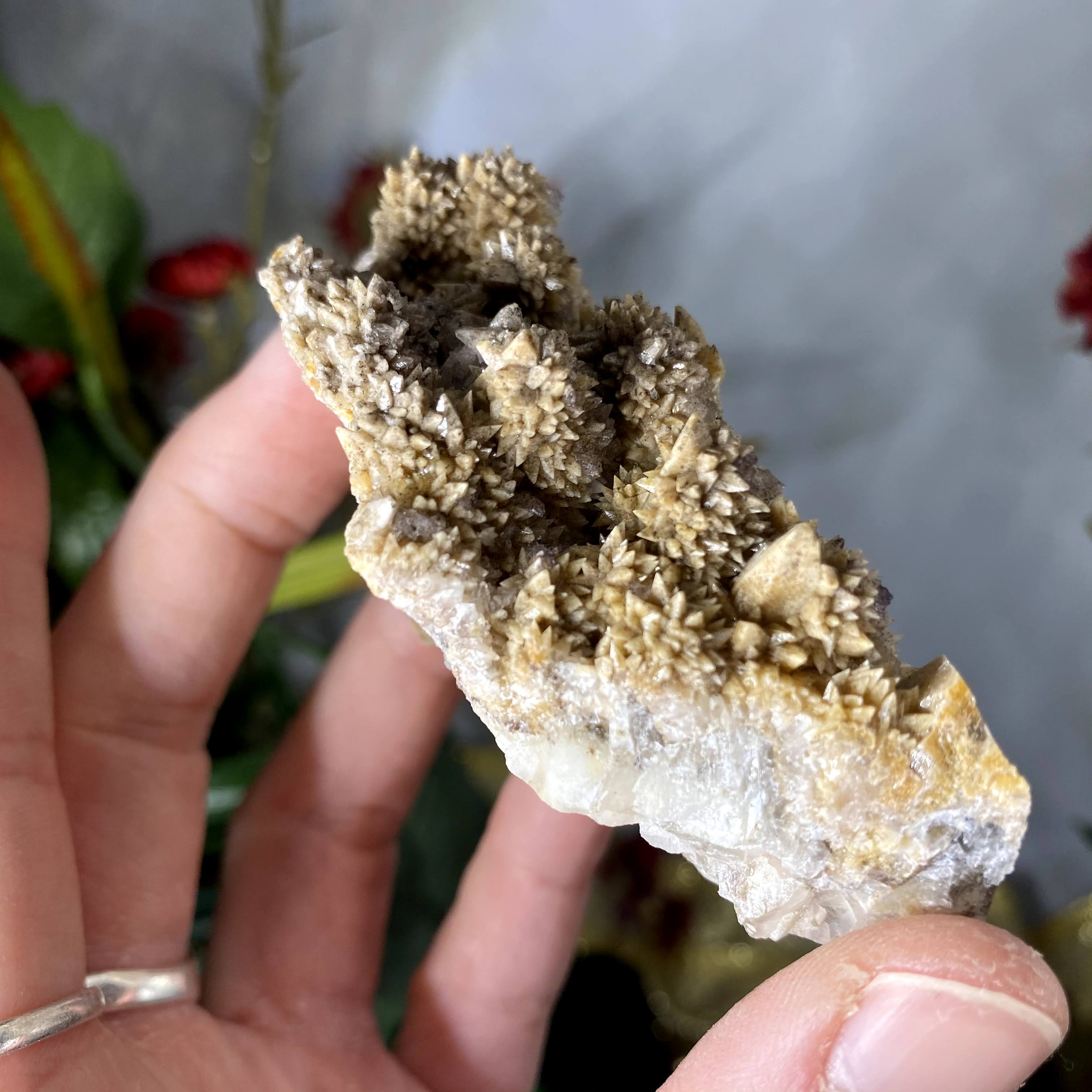 Calcite - Super Sweet Dogtooth Calcite with Fluorite Mineral Specimen! B467