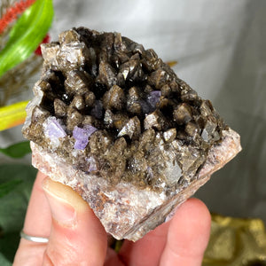 Calcite - Chocolate Brown Dogtooth Calcite with Purple Fluorite Mineral Specimen! B468