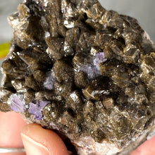 Load image into Gallery viewer, Calcite - Chocolate Brown Dogtooth Calcite with Purple Fluorite Mineral Specimen! B468