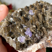 Load image into Gallery viewer, Calcite - Chocolate Brown Dogtooth Calcite with Purple Fluorite Mineral Specimen! B468
