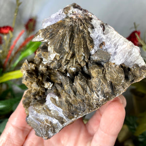 Calcite - STELLAR Chocolate Brown Dogtooth Calcite with Purple Fluorite Mineral Specimen! B475
