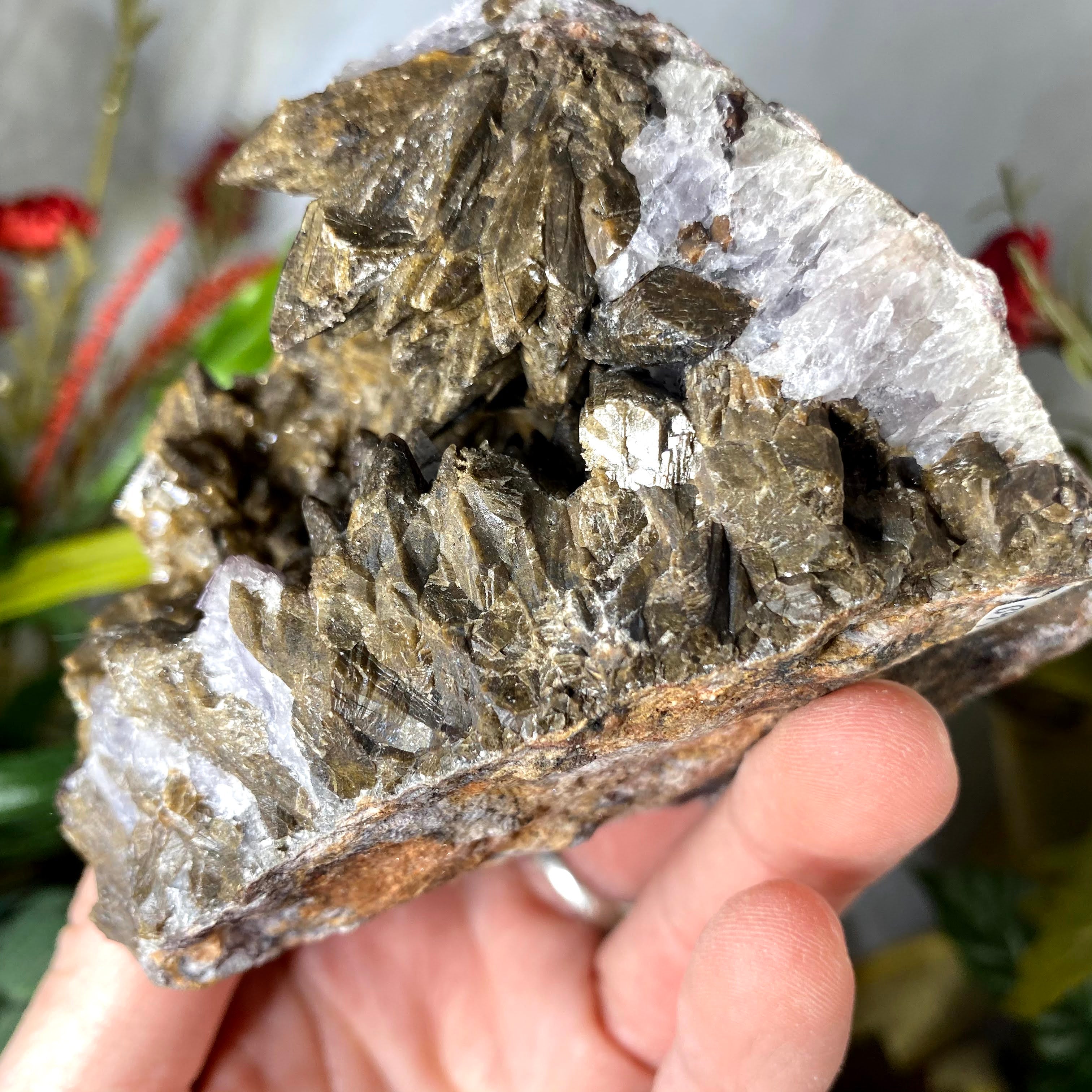 Calcite - STELLAR Chocolate Brown Dogtooth Calcite with Purple Fluorite Mineral Specimen! B475