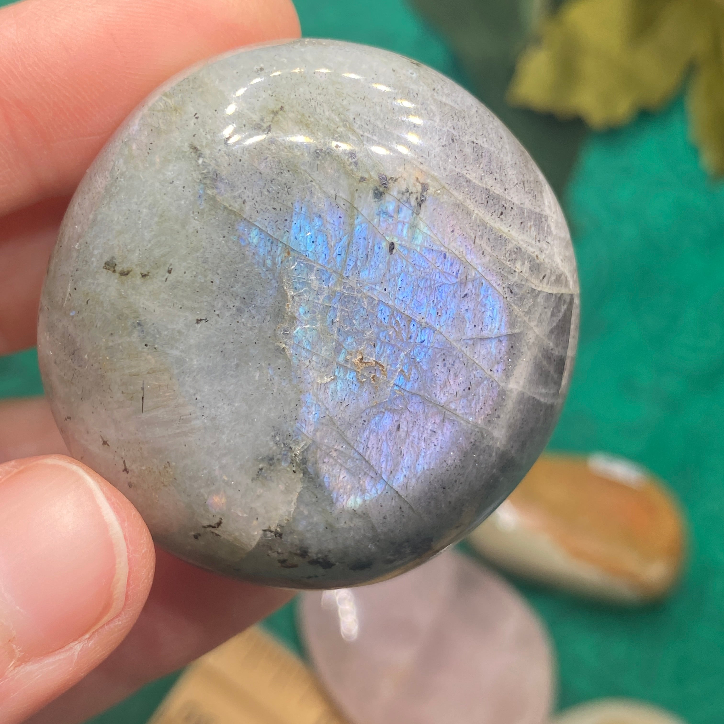 8 PIECE PALM STONE BUNDLE DEAL SET #C949