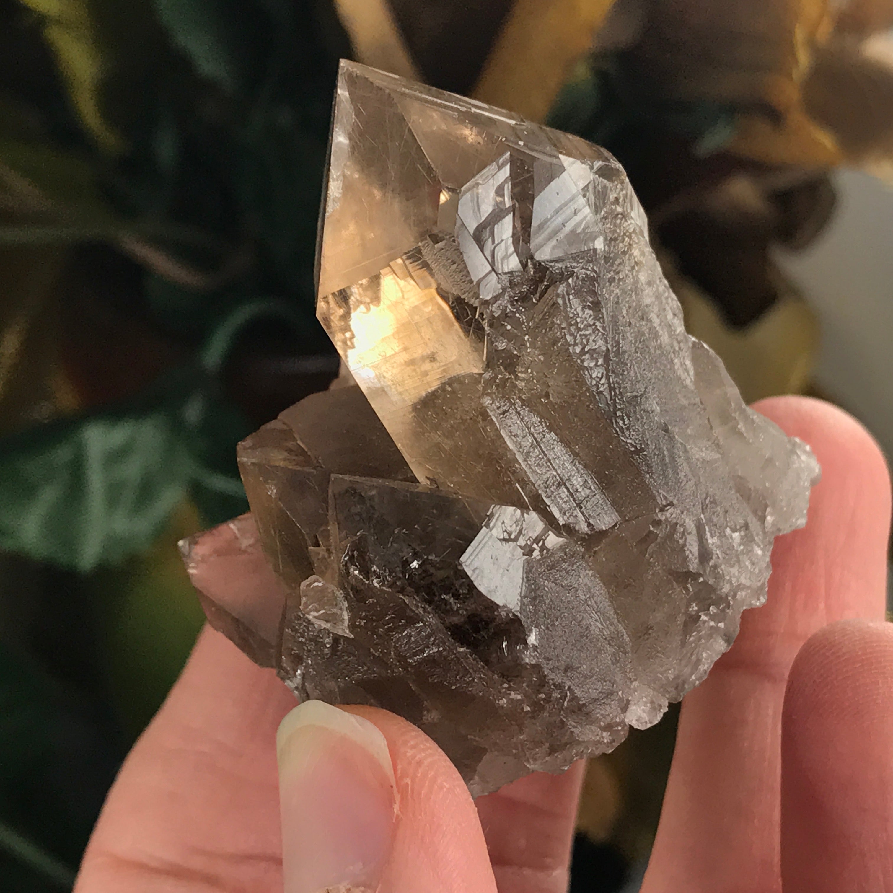 Smokey Quartz Cluster with Golden Rutile!