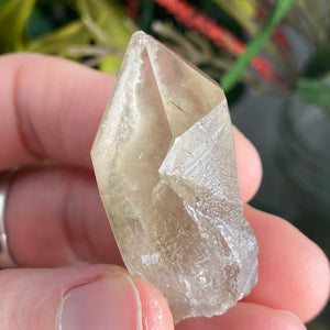 #C951 4 Piece Lodolite Bundle Deal!