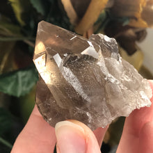 Load image into Gallery viewer, Smokey Quartz Cluster with Golden Rutile!