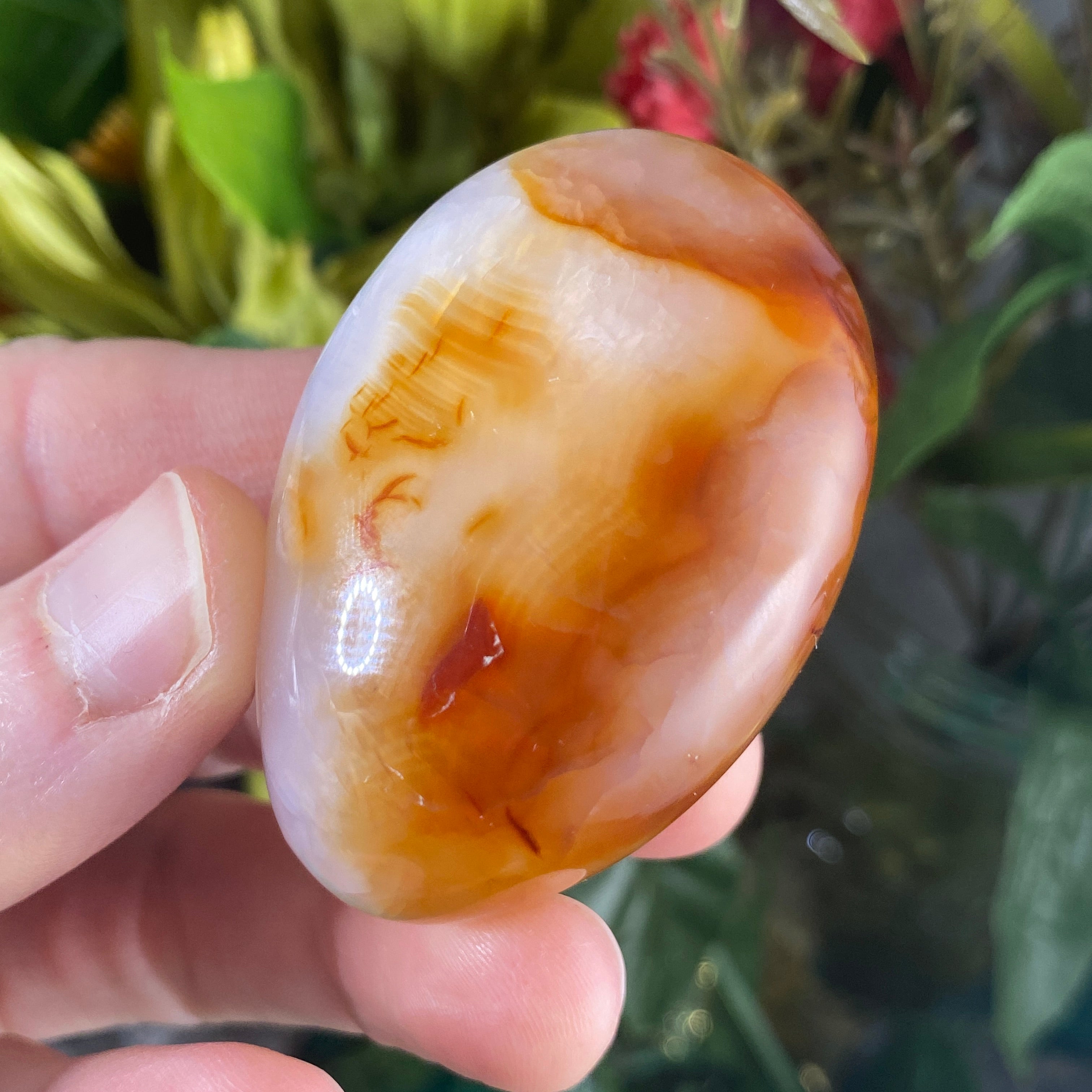 PALM BUNDLE DEAL #C948 7 Piece Palm Stone Crystal Set Bundle DEAL!