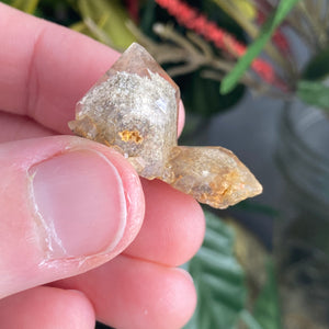 #C951 4 Piece Lodolite Bundle Deal!